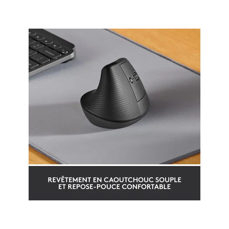 Logitech Lift (graphite)