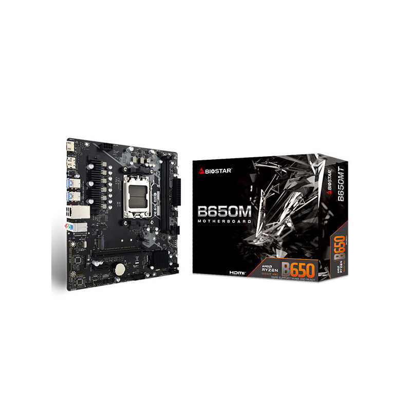 Biostar B650mt