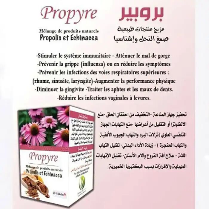 Mélange De Produits Naturels Echinacea Et Propolis 60 Gélules thumbnail 4