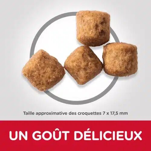 Hill’s Science Plan Aliment Pour Chien Adulte Perfect Weight Grande Race Au Poulet 12kg