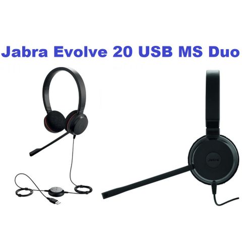 Casque Filaire Audio Evolve 20 Usb Ms Duo, Microphone Antibruit