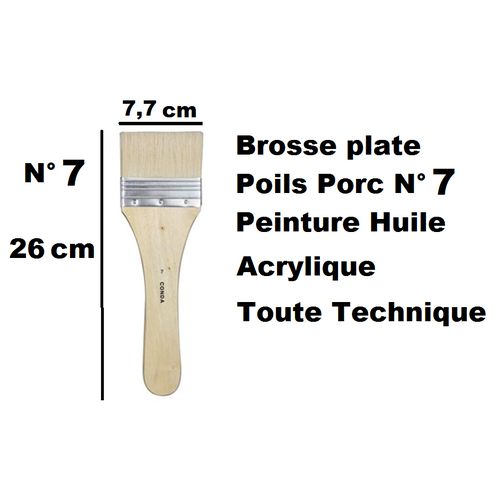 Pinceau Brosse Plate Poils Porc N° 7