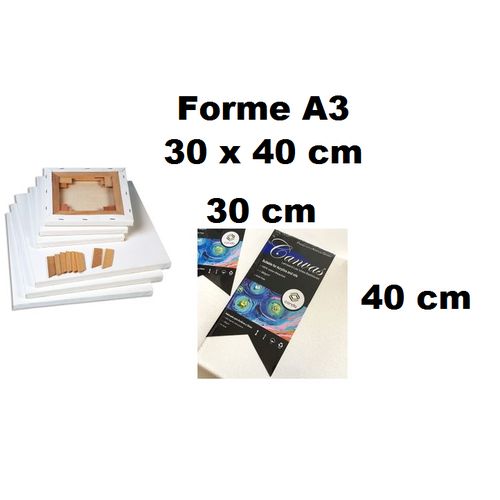 Toile Sur Châssis En Coton Pour Peinture