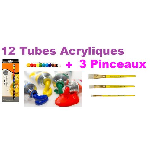 Kit Boite 12 Tubes Peinture Acryliques Et 3 Pinceaux
