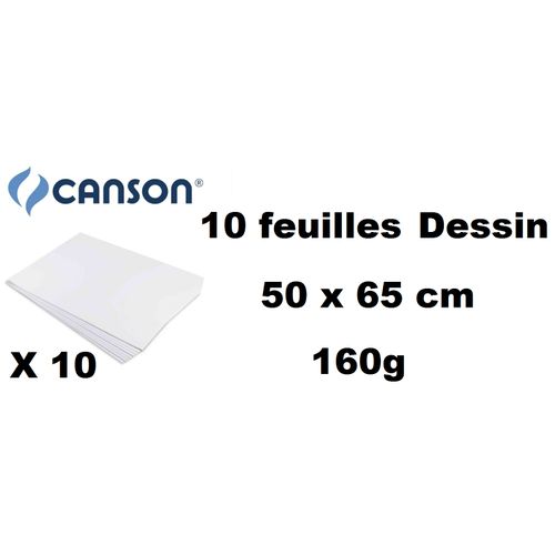 10 Feuilles Papier À Dessin Ja 160 G/m² Raisin 50 X 65 Cm