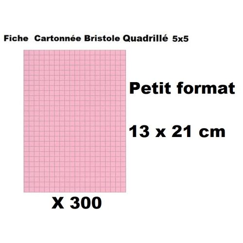 Lot Economique 300 Fiches Cartonnés Bristol Quadrillées-13 X 21cm-rose