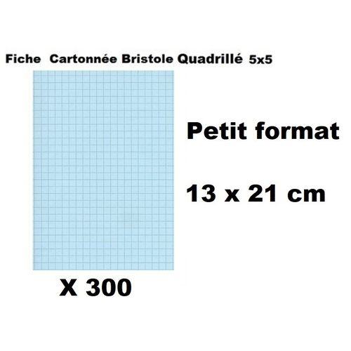 Lot 300 Fiches Cartonnés Bristol Quadrillées-13 X 21cm-bleu