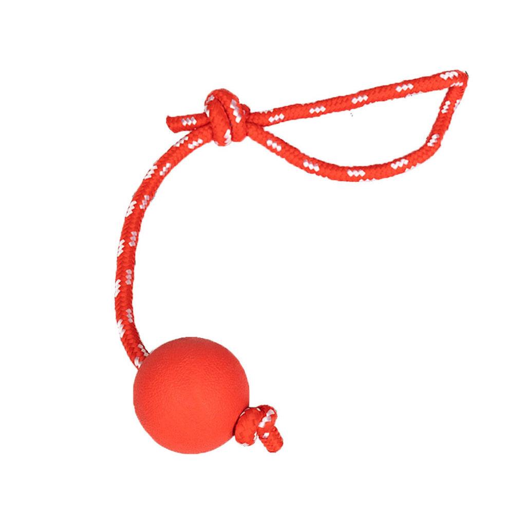 Balle Corde Interactif Pour Chien
