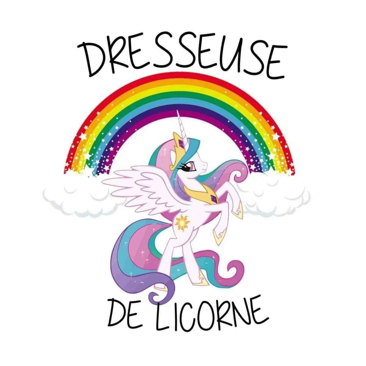 Tshirt Dresseuse De Licorne