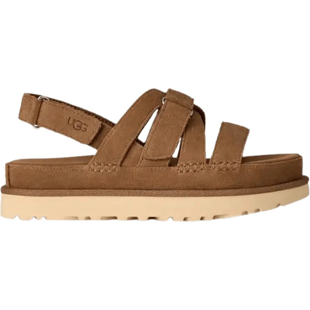 Goldenstar Gleam Chestnut thumbnail 5