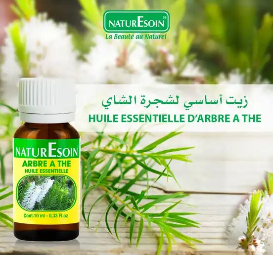 Huile Essentielle Arbre À Thé thumbnail 3