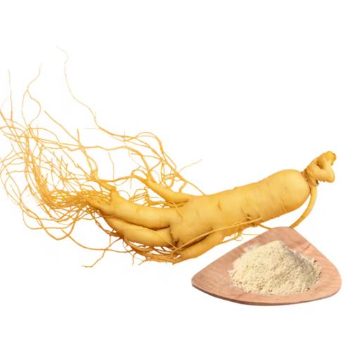Ginseng Blanc En Poudre 250gr - Performance Physique Et Mental