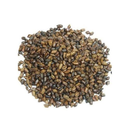 Cassia Tora Graine 500g ( Protection Yeux Contre Ecrans )