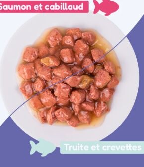Pack Découverte - Émincés Saumon Et Truite (chat Stérilisé) 4x85