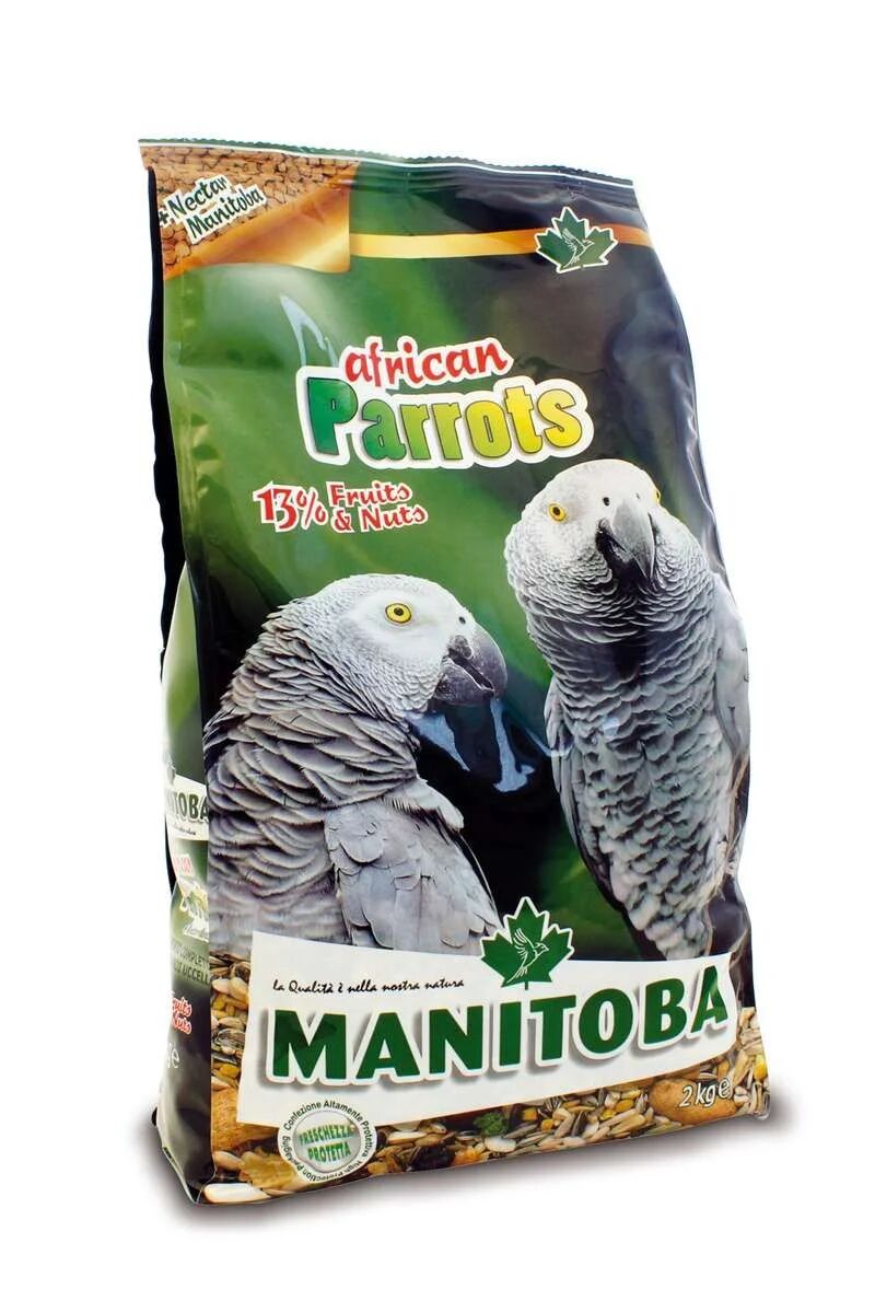 African Parrots 2 Kg