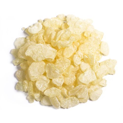 Gomme Mastic de Chios 25 g Digestion Immunité Hygiène Bucco-Dentaire