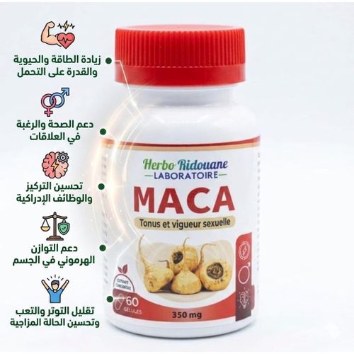 Complément Alimentaire Maca Pour Tonus Et Vigueur Masculine - 60 Gélules 