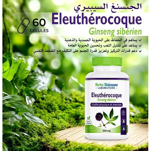 Eleuthérocoque (gin-seng Sibérien) - 300 Mg - 60 Gélules - Vitalité Physique & Mentale