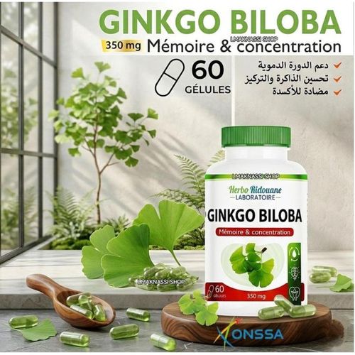 Complément Alimentaire A Base De Ginkgo biloba 350mg