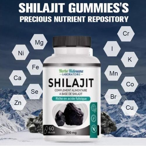 Lhimalaya - 60 Gélules Végétales, Santé Du Cerveau