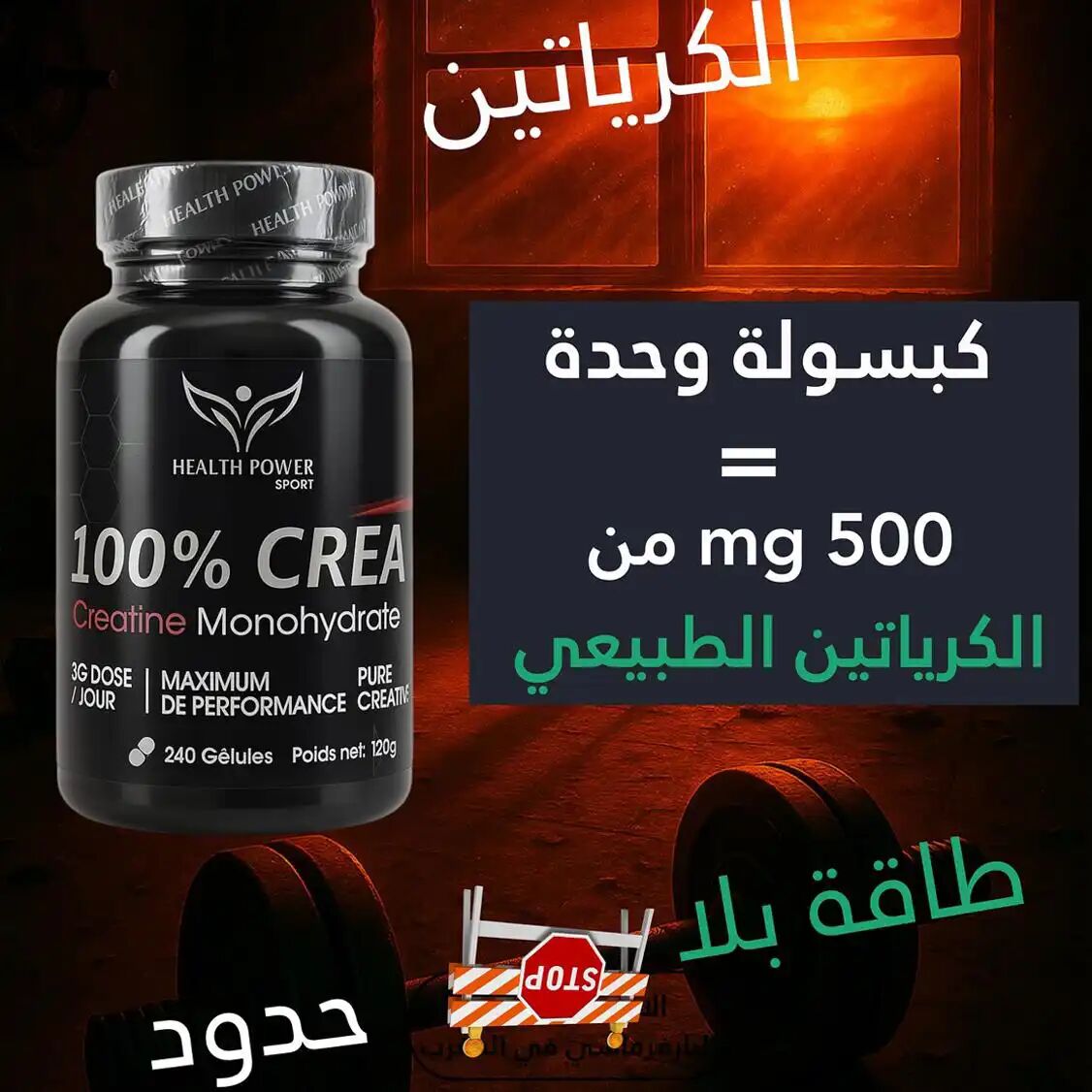 Créatine Monohydrate 500mg 240 Gélules thumbnail 3