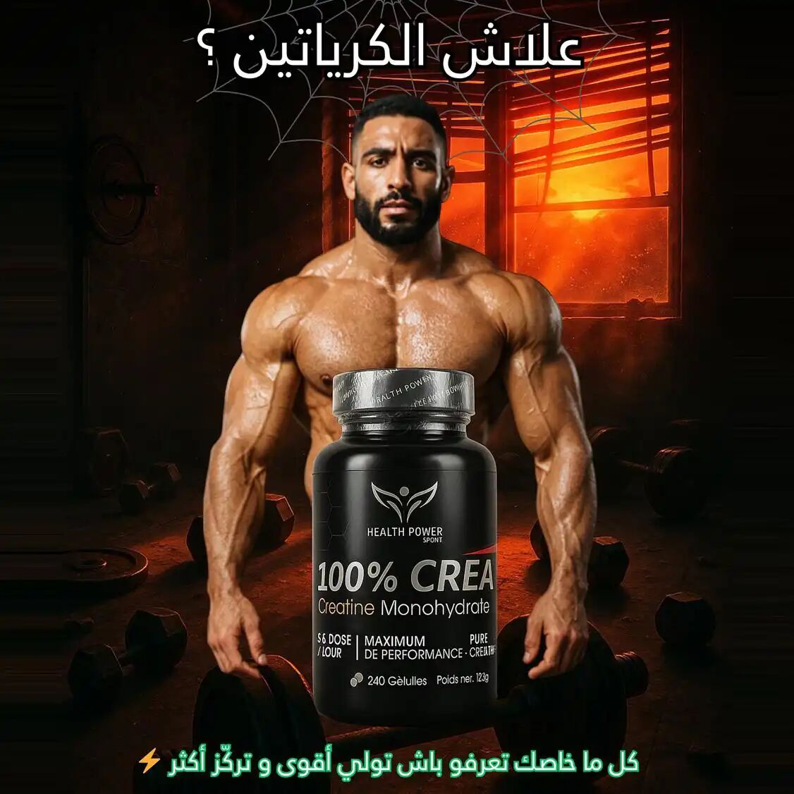 Créatine Monohydrate 500mg 240 Gélules thumbnail 4