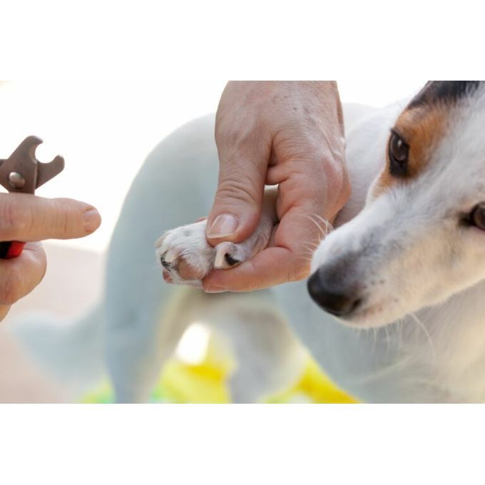 Coupe Ongles Ergonomique Pour Chats & Chiens thumbnail 3