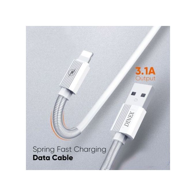 Câble De Charge Rapide Di-200i
