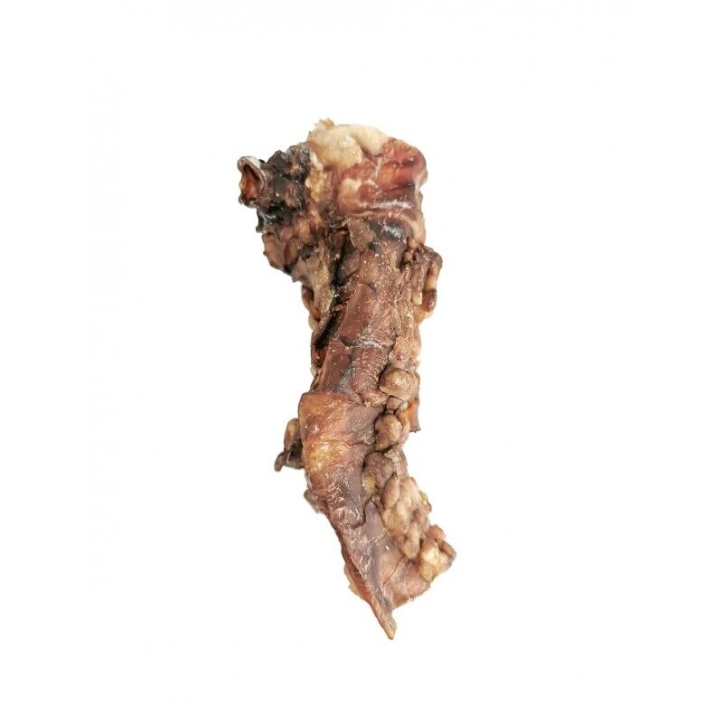 Trache De Bovin : Cornet