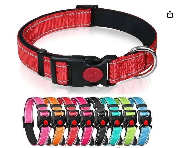Collier Réfléchissant Pour Chien Avec Rembourrage En Néoprène À L'intérieur