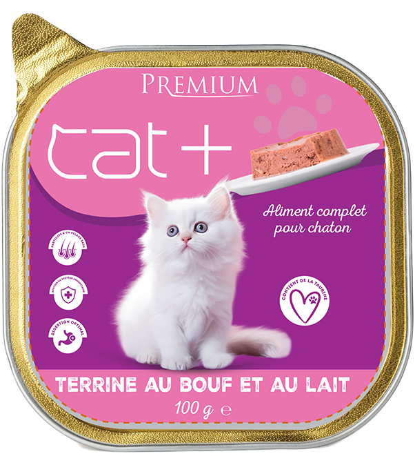 Cat+ Premium Kitten With Beef And Milk
