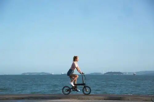 Vélo Assistance Électrique Mi Smart Pliable 250 W thumbnail 4