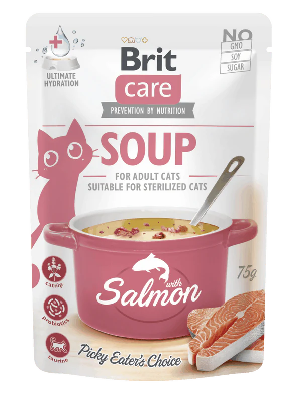 Care Soupe Au Saumon Pour Chats