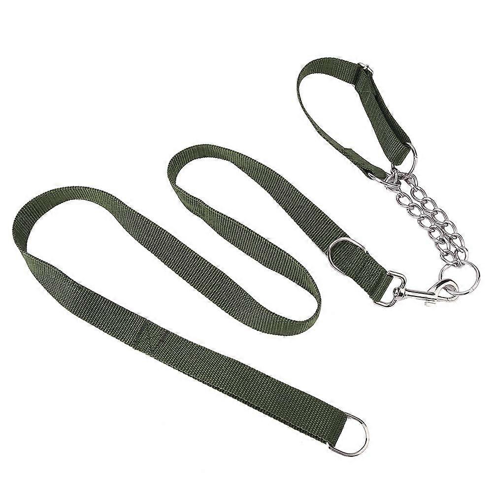 Laisse Réglable Pour Chien Avec Collier Semi-étrangleur Intégré 1,3m
