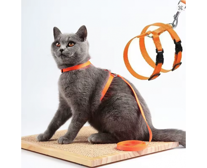 Ensemble Harnais + Laisse Pour Chat thumbnail 3