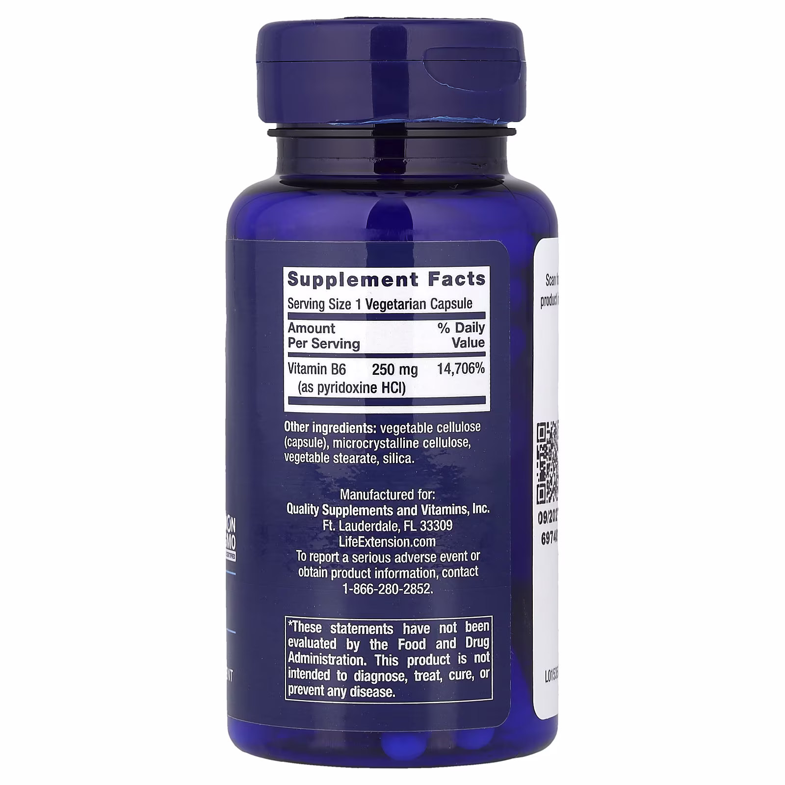 Vitamin B6 250 mg – 100 Vegetarian Capsules
