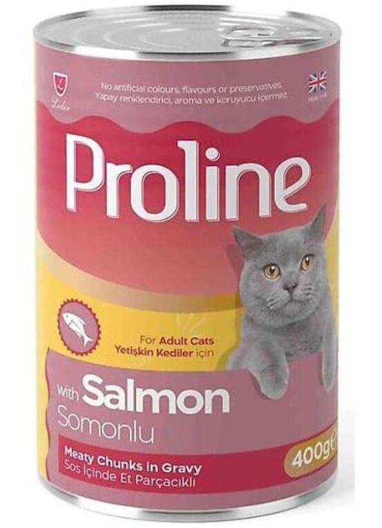 Pâte Avec Saumon