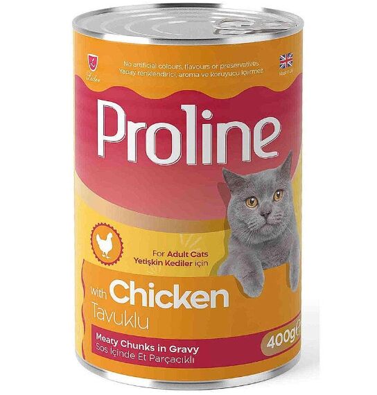 Pâte Avec Morceaux De Viande Dans Une Sauce Au Poulet