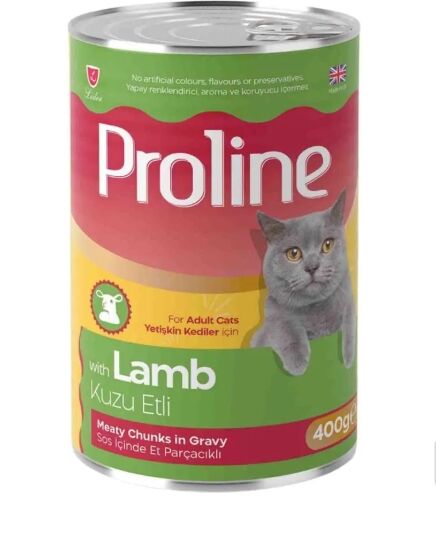 Pâte Avec Morceaux D'agneau Et Viande Dans Une Sauce
