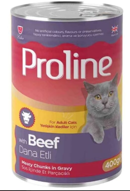 Pâte Avec Morceaux De Viande Dans Une Sauce Au Bœuf