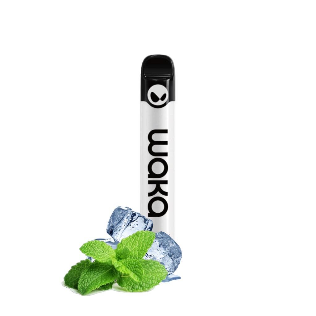 Solo 2 Fresh Mint 2.5k Puffs 5%
