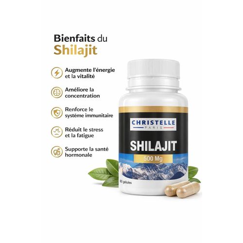 Shilajit 500mg Extrait Naturel Hautement Concentré 