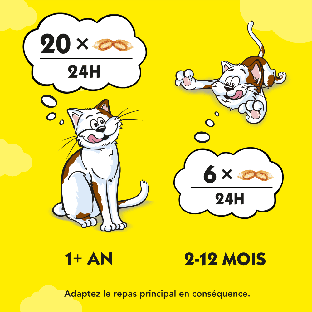 Mix Pour Chat & Chaton