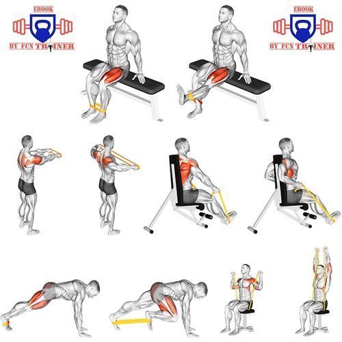 Bandes Élastiques De Fitness Et Musculation