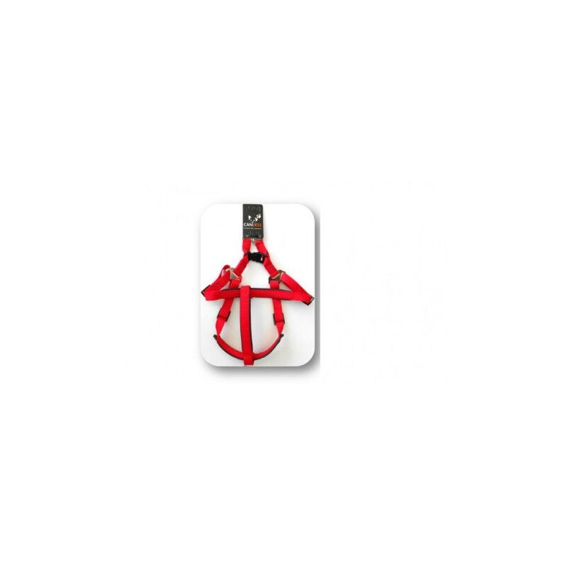 Harnais Premium S - 16mm X 50cm