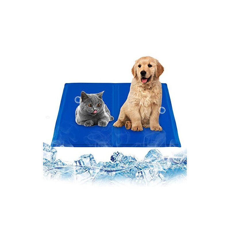 Tapis Rafraichissant Pour Chats Et Chiens - Canijess