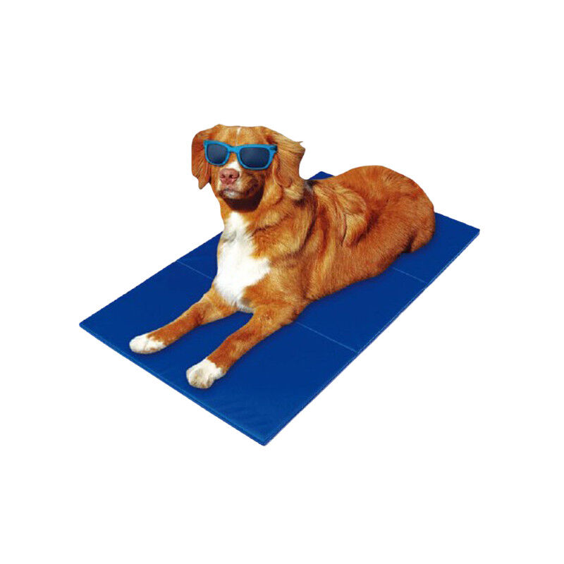 Tapis Rafraichissant Pour Chats Et Chiens thumbnail 4