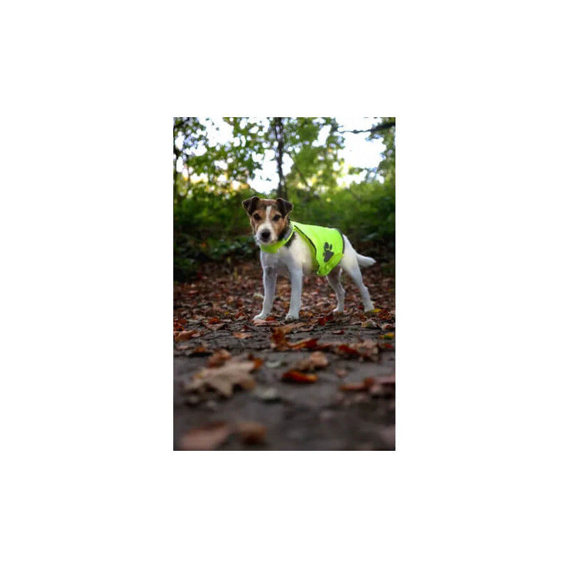 Gillet De Sécurité Refi Jaune Fluo Pour Chien - Flamingo thumbnail 4