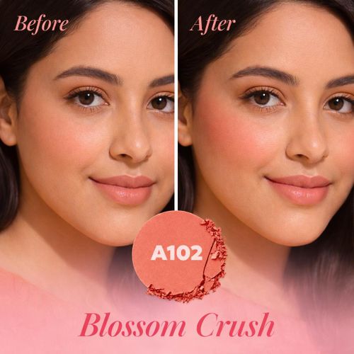 Matte Oil Control Blush Powder A102 Apricot Brown  thumbnail 2