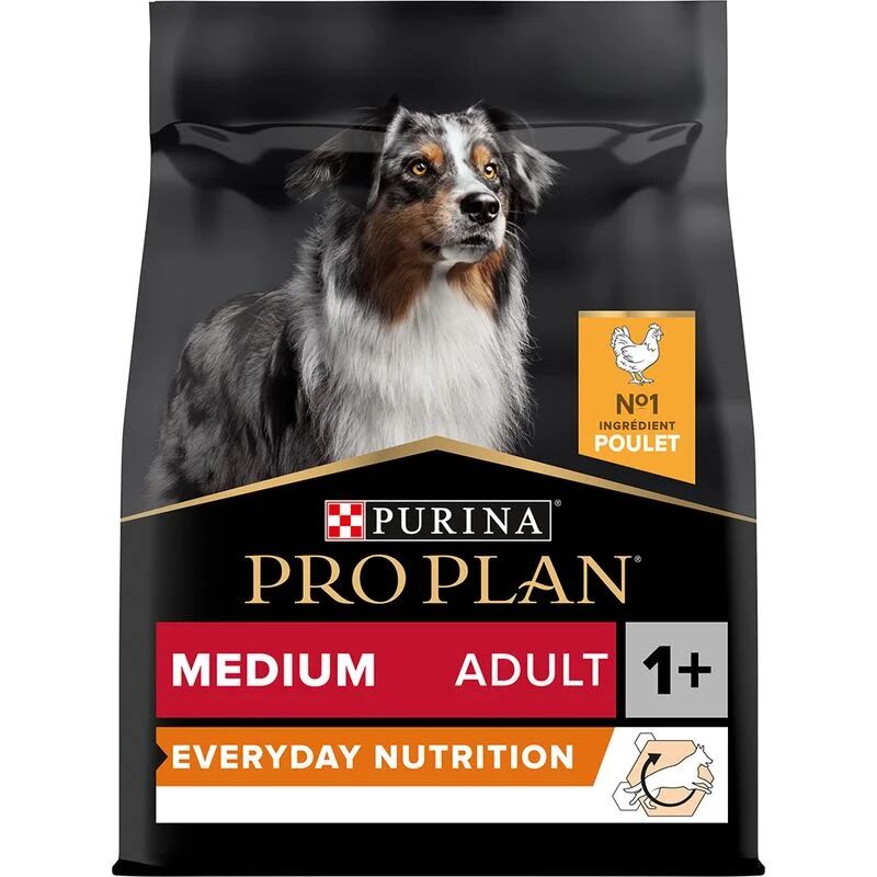 Medium Adult Everyday Nutrition Pour Chien